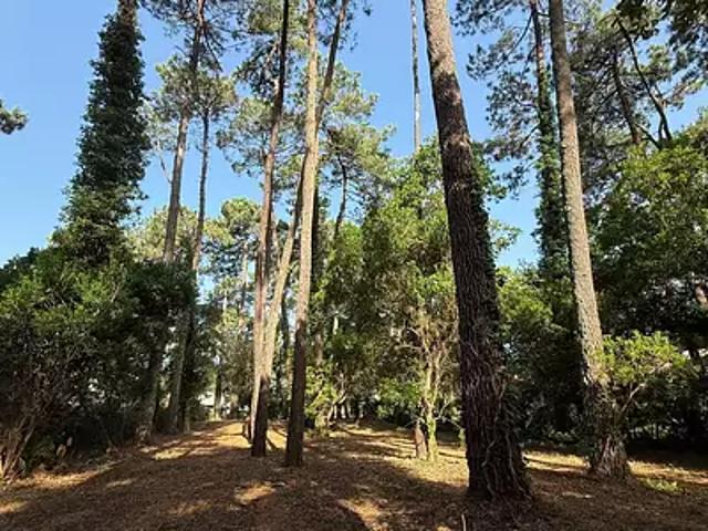 Soorts Hossegor 40150 Achat / Vente terrain
