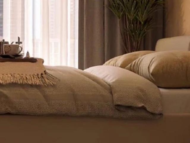 Sobha Strada Studio 856 Sq. Ft. Apartment in Sector 106 Gurgaon Listing ID: #10274