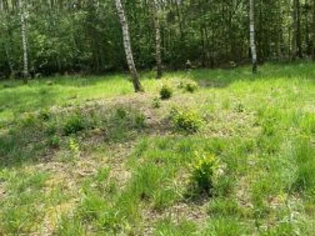 Sobieńki, 1010 m² Działka