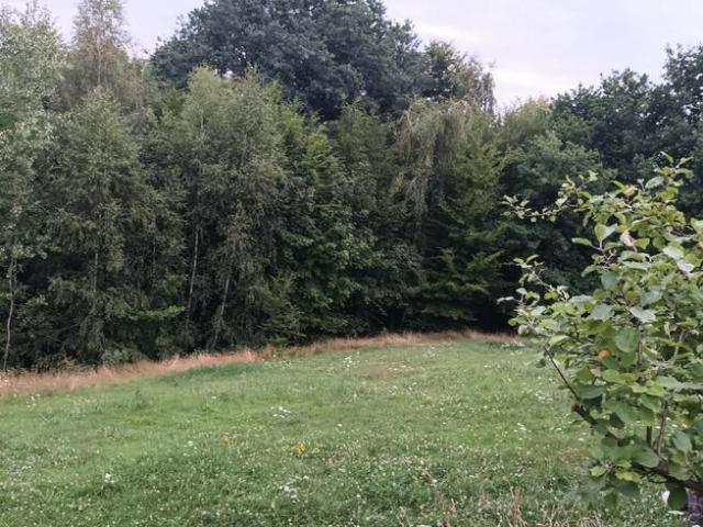 Sobolów, Wola Nieszkowska, działka 0,35ha+3a