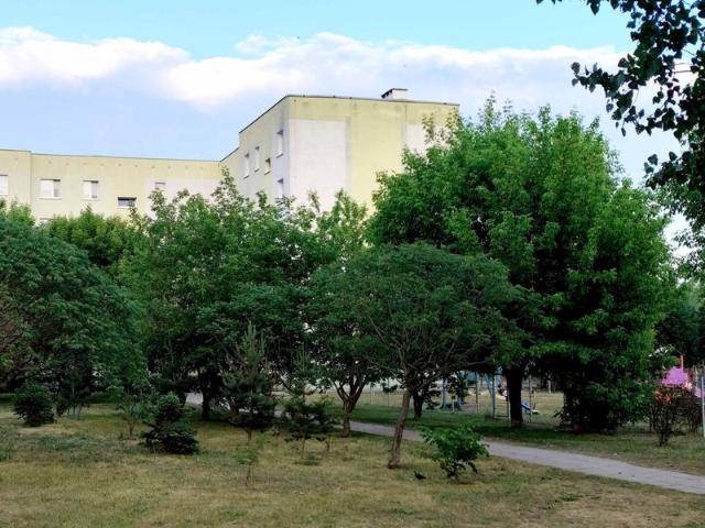 Sochaczewski pow., Sochaczew, Kochanowskiego