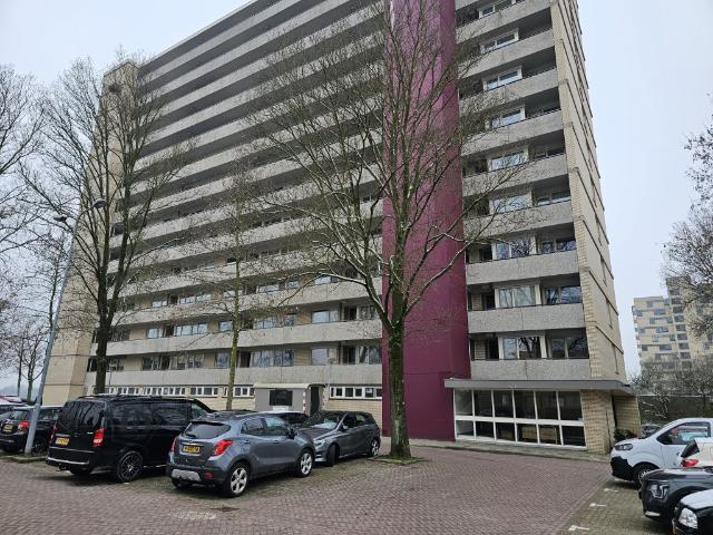 Socrateslaan, Den Bosch