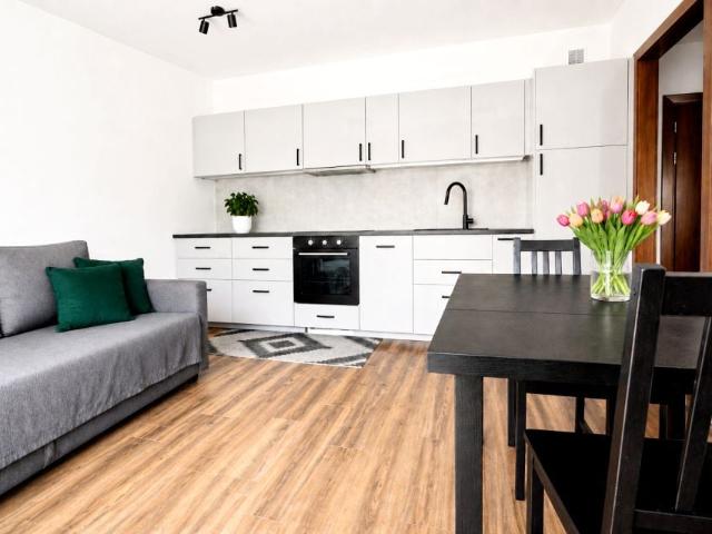 Sodowa 38 m², Kraków