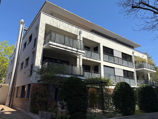 SOFORT BEZUGSFREI ! herrliche 3 Zimmer EG Wohnung in der Wiehre Nähe Johanneskirche