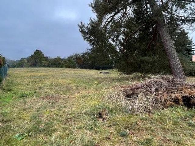 Sofort bebaubares großzügiges Baugrundstück im schönen Borgsdorf