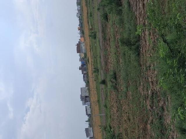 Sohna, 150 Sq.Yd. Plot in Sohna Gurgaon Listing ID: #10379
