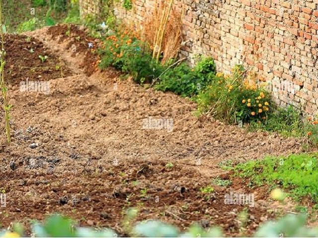 Sohna Sector 17, Sohna 575 Sq. Ft. Plot in Sohna Sector 17 Gurgaon Listing ID: #10138