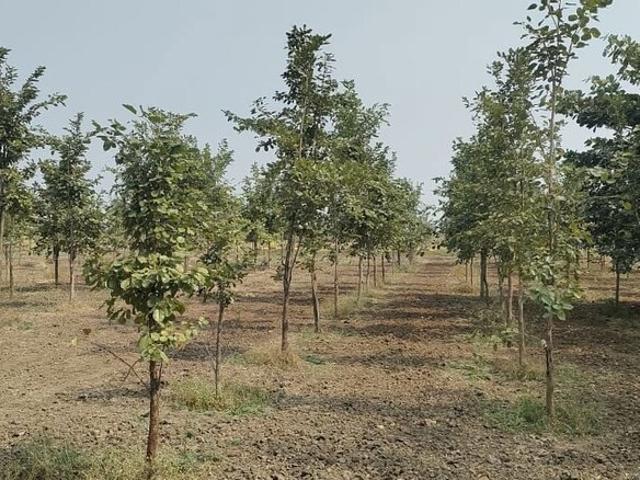 Sohna Sector 17, Sohna 582 Sq. Ft. Plot in Sohna Sector 17 Gurgaon Listing ID: #10136