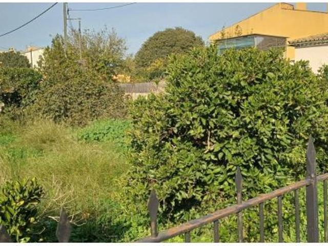 SOLAR URBANO DE 500 M² EN SON PUIG