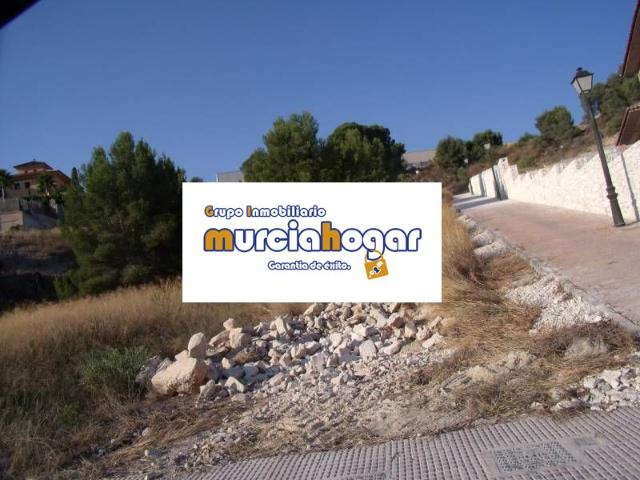 SOLAR URBANO EN LA ALCAYNA