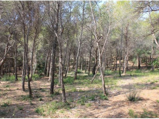 Solar urbano en Venta en La Platja de Calafell, Tarragona