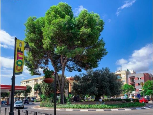 SOLAR URBANO EN VENTA EN LALCUDIA