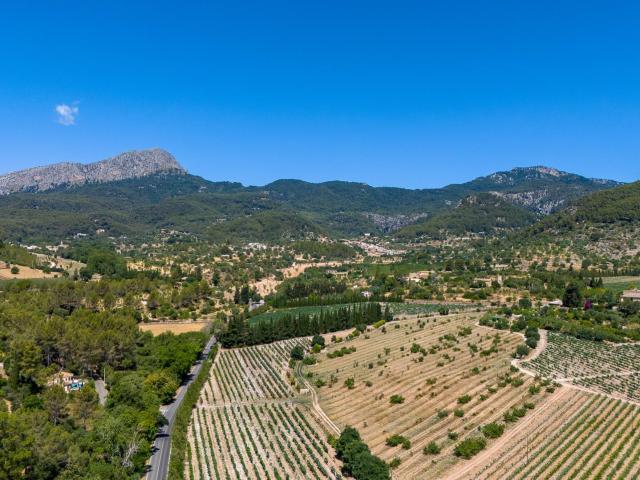Solar urbano en venta en Son Serralta Puigpunyent