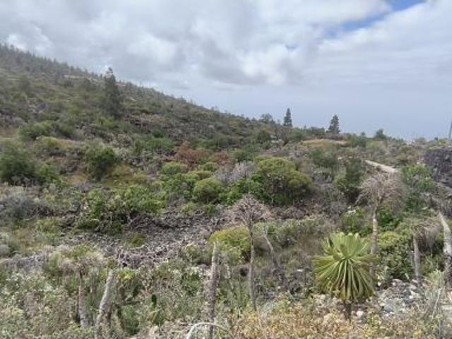 Solar urbano en Venta en Santiago del Teide, Santa Cruz de Tenerife