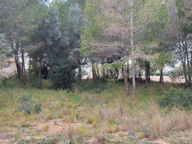 Solar Venta Tarragona