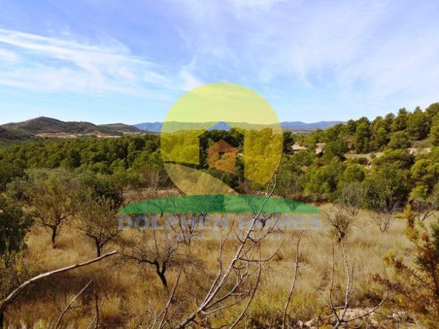 Solar Venta Valencia