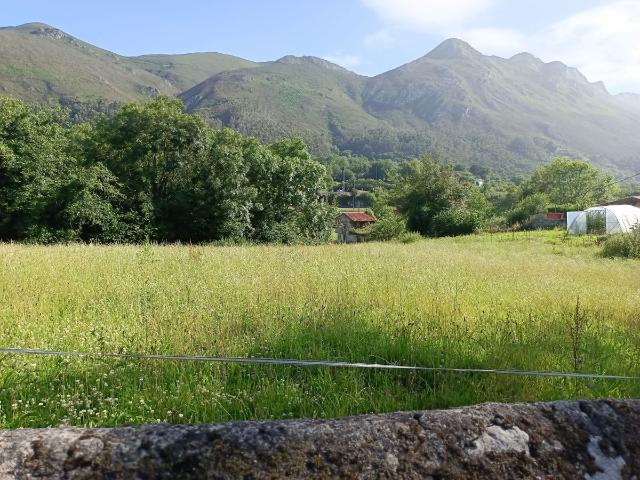 Solar Venta Asturias