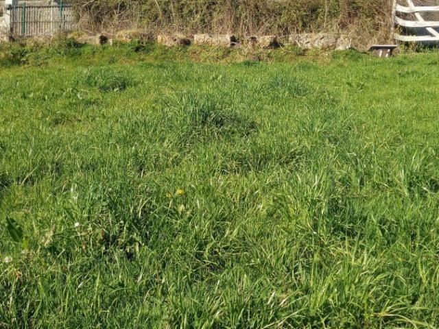 Solar Venta Asturias
