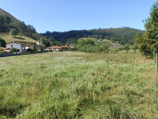 Solar Venta Asturias