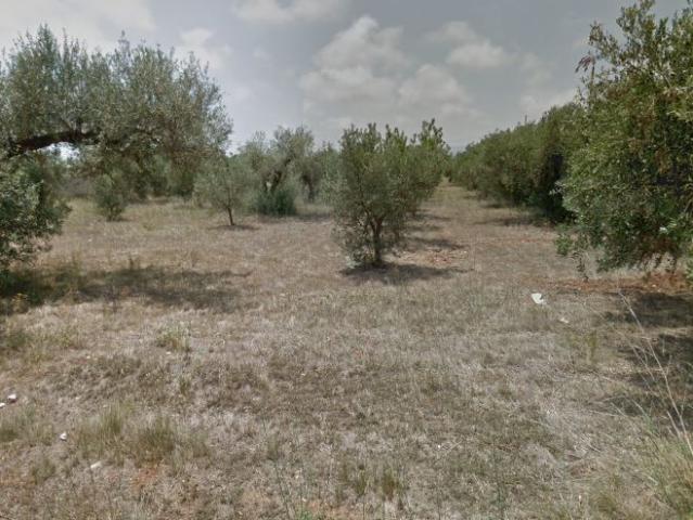 Solar Venta Castellón