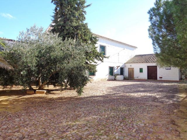 Solar Venta Ciudad Real