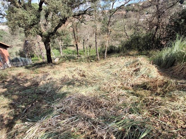 Solar Venta Girona