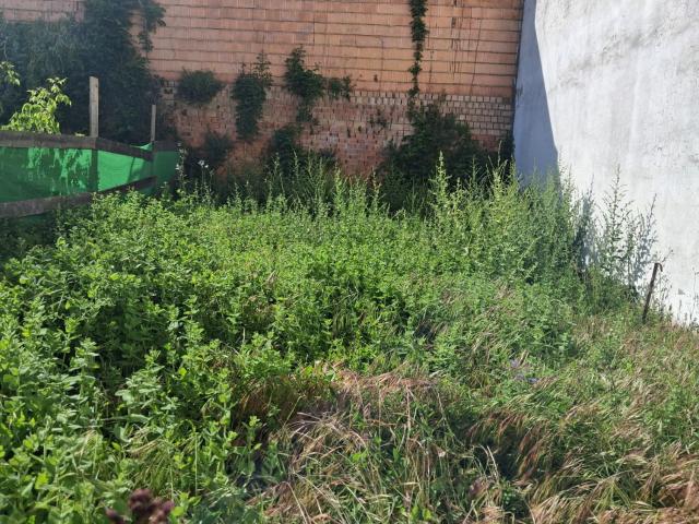 Solar Venta Huelva