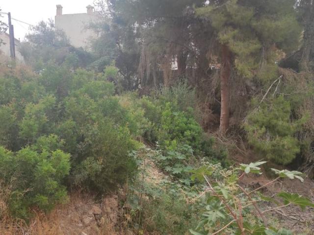 Solar Venta Málaga