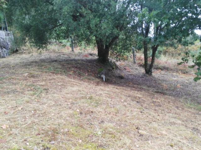 Solar Venta Pontevedra