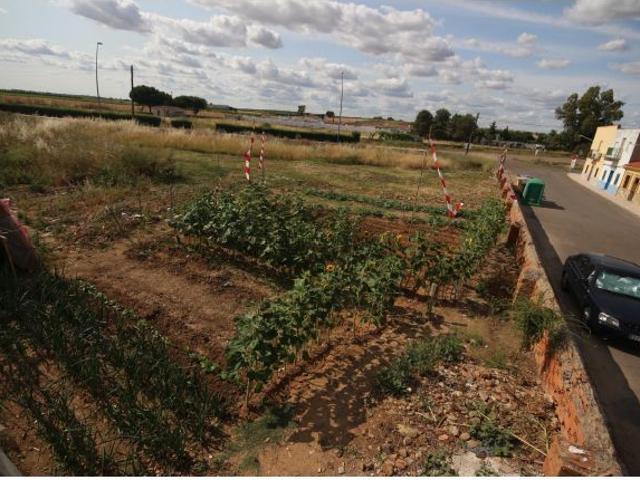 Solar de 430 m en buena zona de la Garrovilla con muchas posibilidades