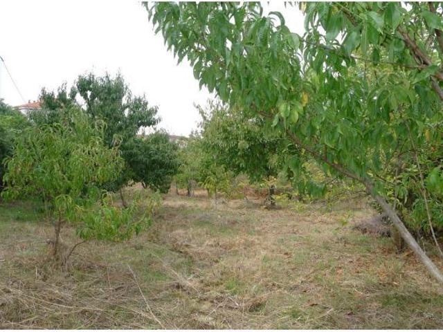 Solar en venta