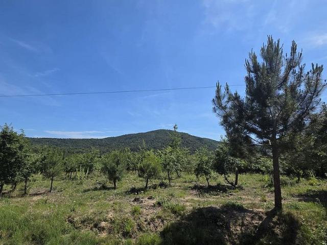 Solar en venta en Tordera, de 6.755 m² por 48.000