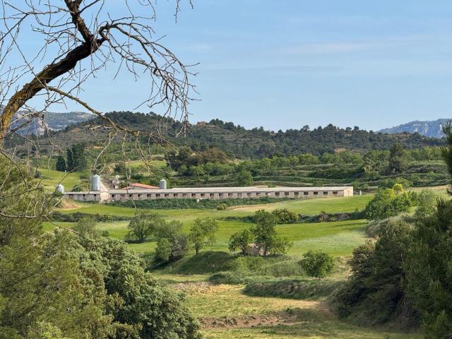 Solar en venta en Valderrobres Teruel
