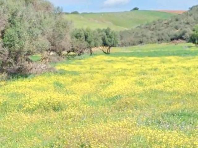 Solar en venta en Vejer de la Frontera Cádiz