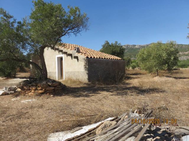 Solar en venta en Xerta
