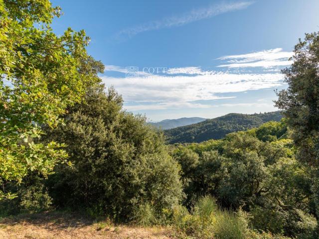 Solar en venta en Anglès Girona