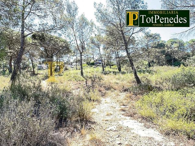 Solar en venta en calle Tarragona, Mediona, de 200 m² por 20.000