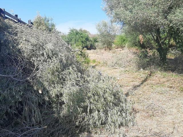 Solar en venta en calle Tulipa, Calafell, de 534 m² por 102.000