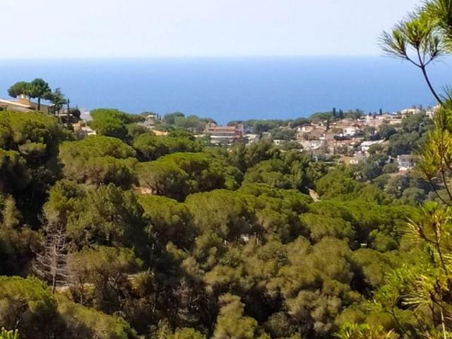 Solar en venta en calle Fonoll, Lloret de Mar, de 906 m² por 85.000
