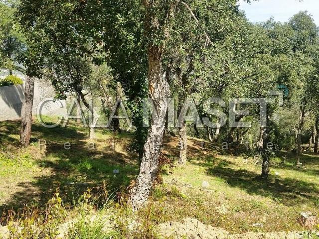 Solar en venta en calle Isidre Nonell, Calonge, de 880 m² por 135.000