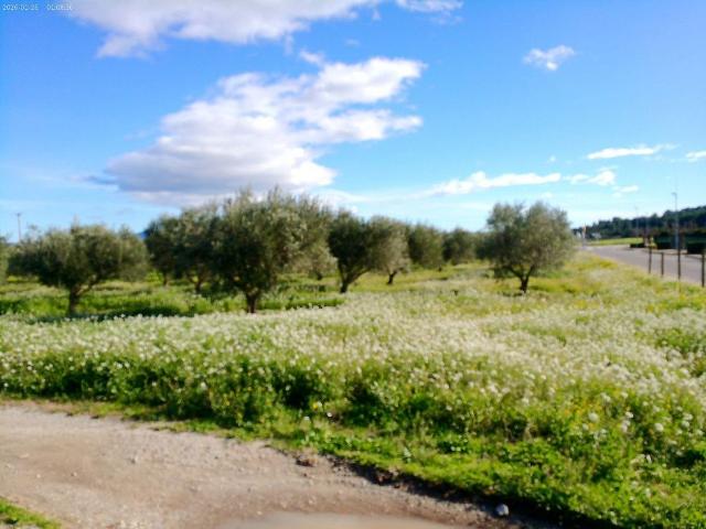 Solar en venta en calle Josep Cortada, Masarac, de 5.000 m² por 400.000