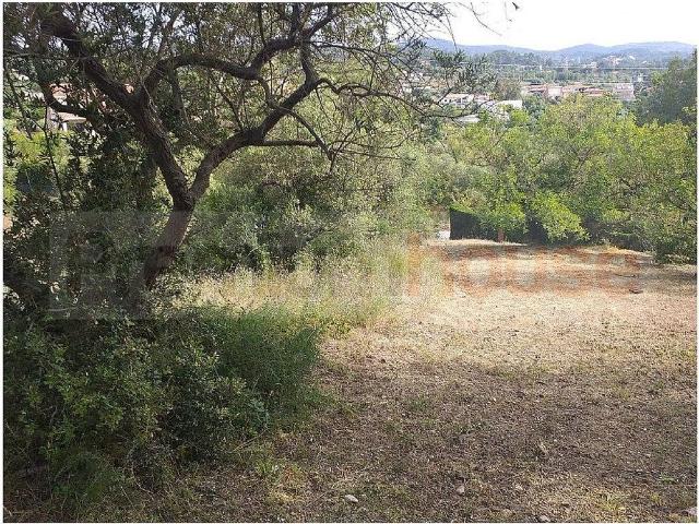 Solar en venta en calle Mustreres, Almoster, de 2.940 m² por 38.000