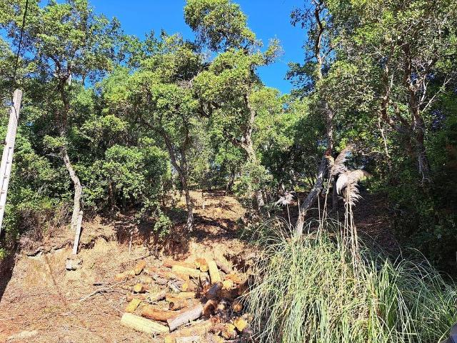 Solar en venta en calle San Roc, Massanes, de 180 m² por 45.000
