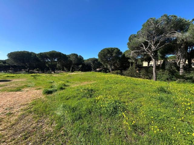 Solar en venta en Chiclana de la Frontera Cádiz