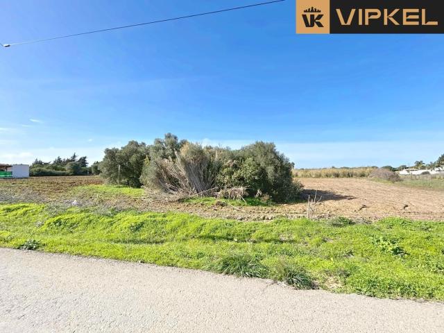 Solar en venta en Conil de la Frontera Cádiz