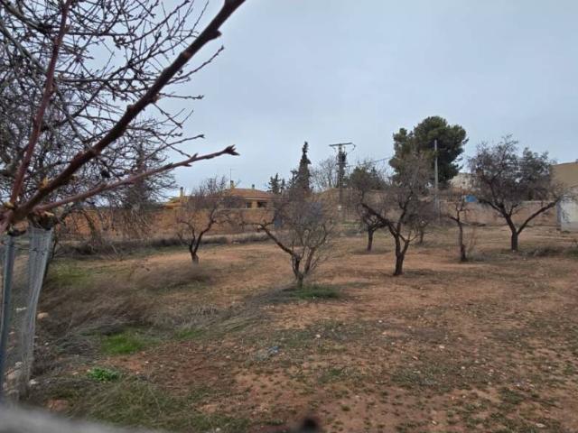 Solar en venta en El Moralejo