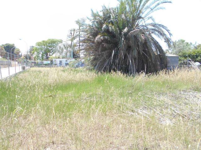 Solar en Venta en El Olivar, Valencia
