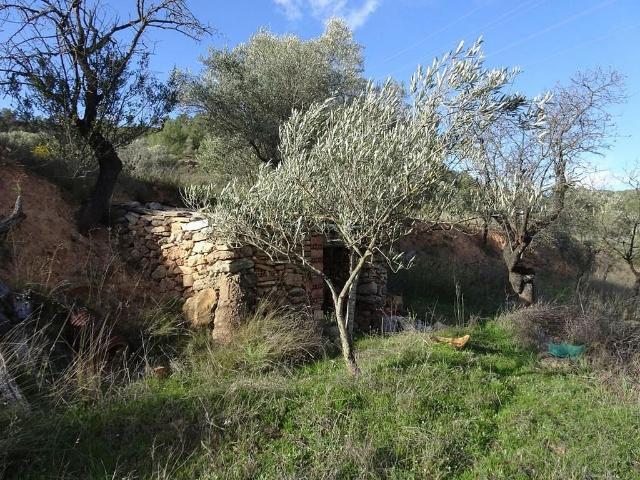 Solar en venta en Garcia, de 20 m² por 6.000