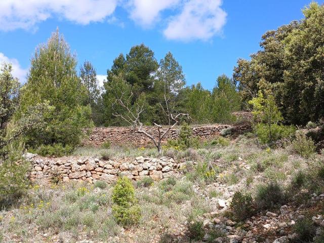 Solar en venta en La Cerollera Teruel