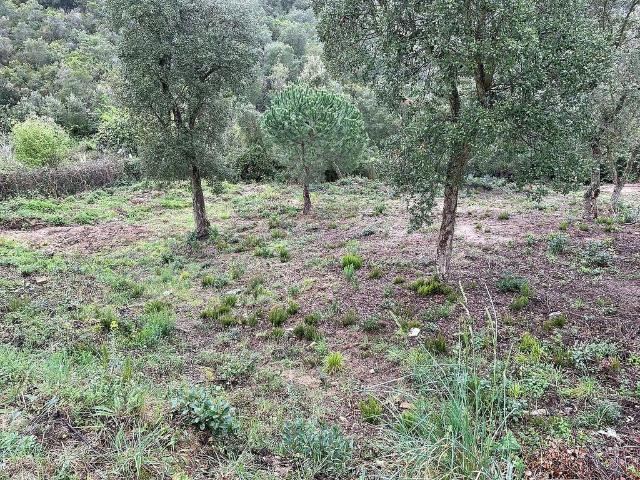 Solar en venta en Lloret de Mar, de 954 m² por 23.000